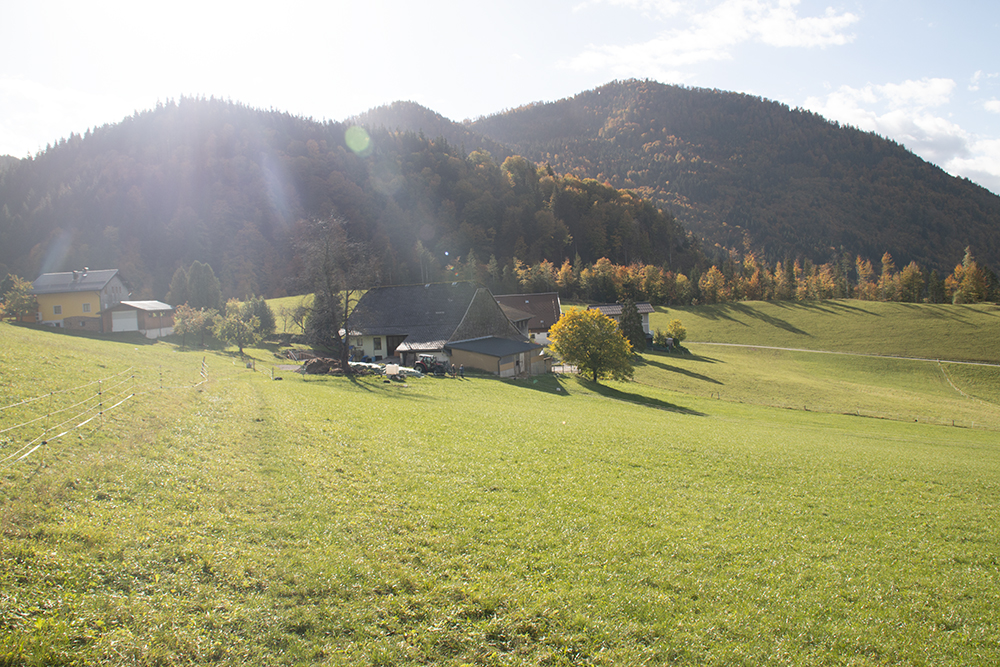 Archehof