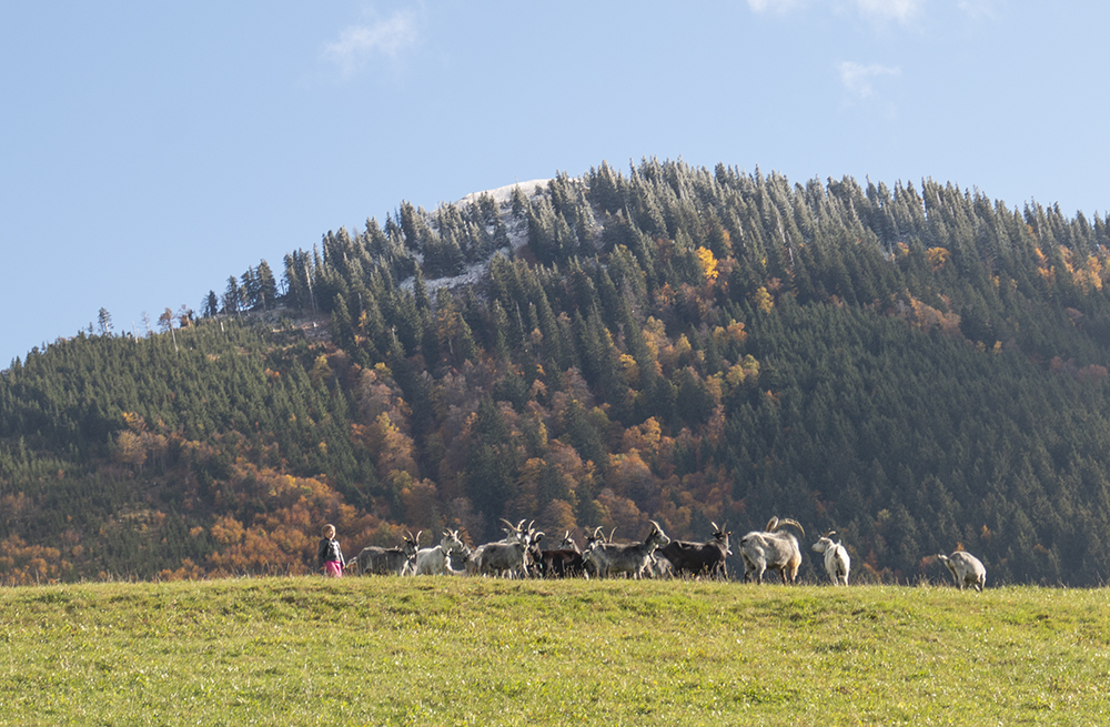 Der erste Schnee