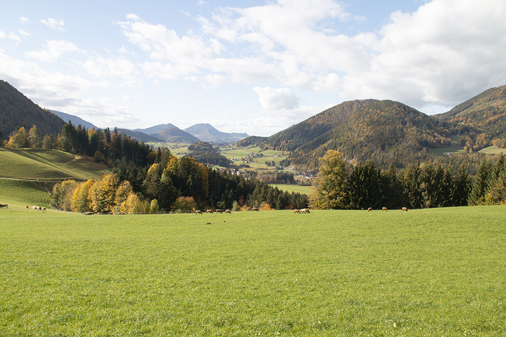 Herbststimmung