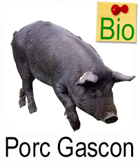 Porc Gascon