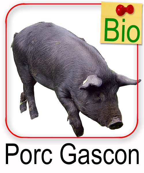 Porc Gascon