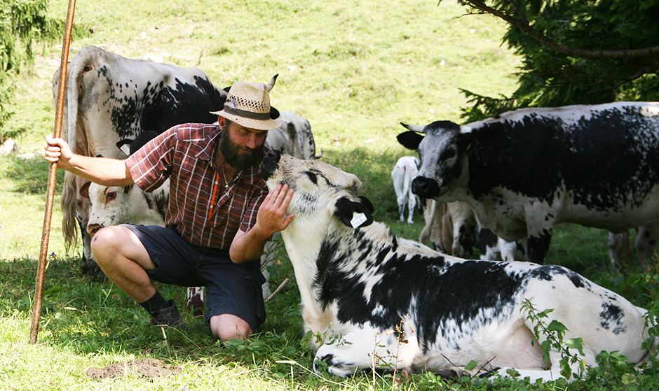 Gourmetfleisch vom Pustertaler Sprinzen